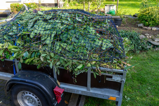  Shell Lake, WI Junk Removal Services Pros